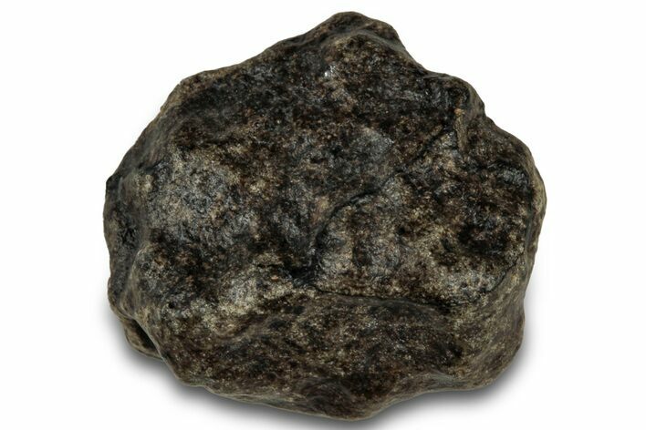 Martian Shergottite Meteorite ( g) - Amgala #301019